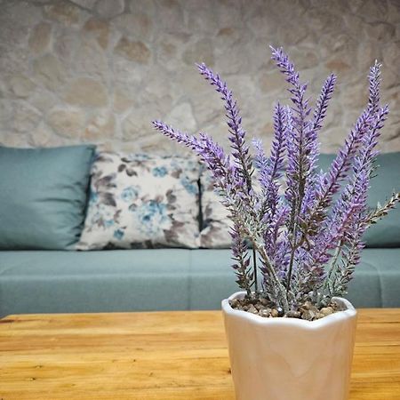 Dalmatia Rustica Comfortable One Bedroom+Fireplace Zadar Exteriör bild