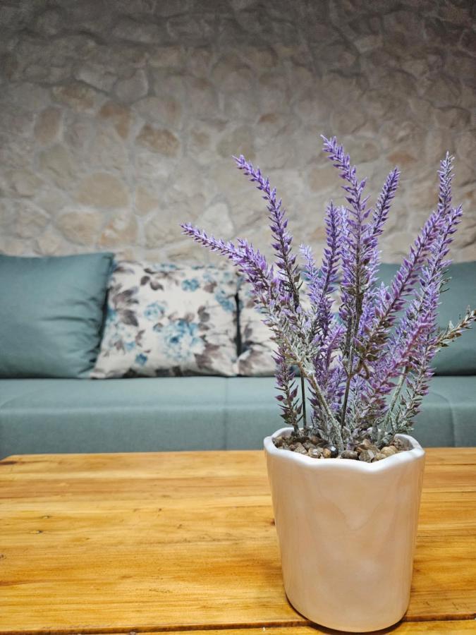 Dalmatia Rustica Comfortable One Bedroom+Fireplace Zadar Exteriör bild